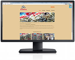 Diseño de pagina web de Ajo Conex