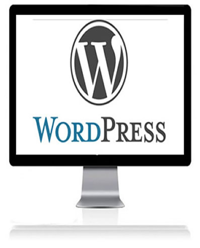 Instalacion y adaptacion de sitios web en WordPress